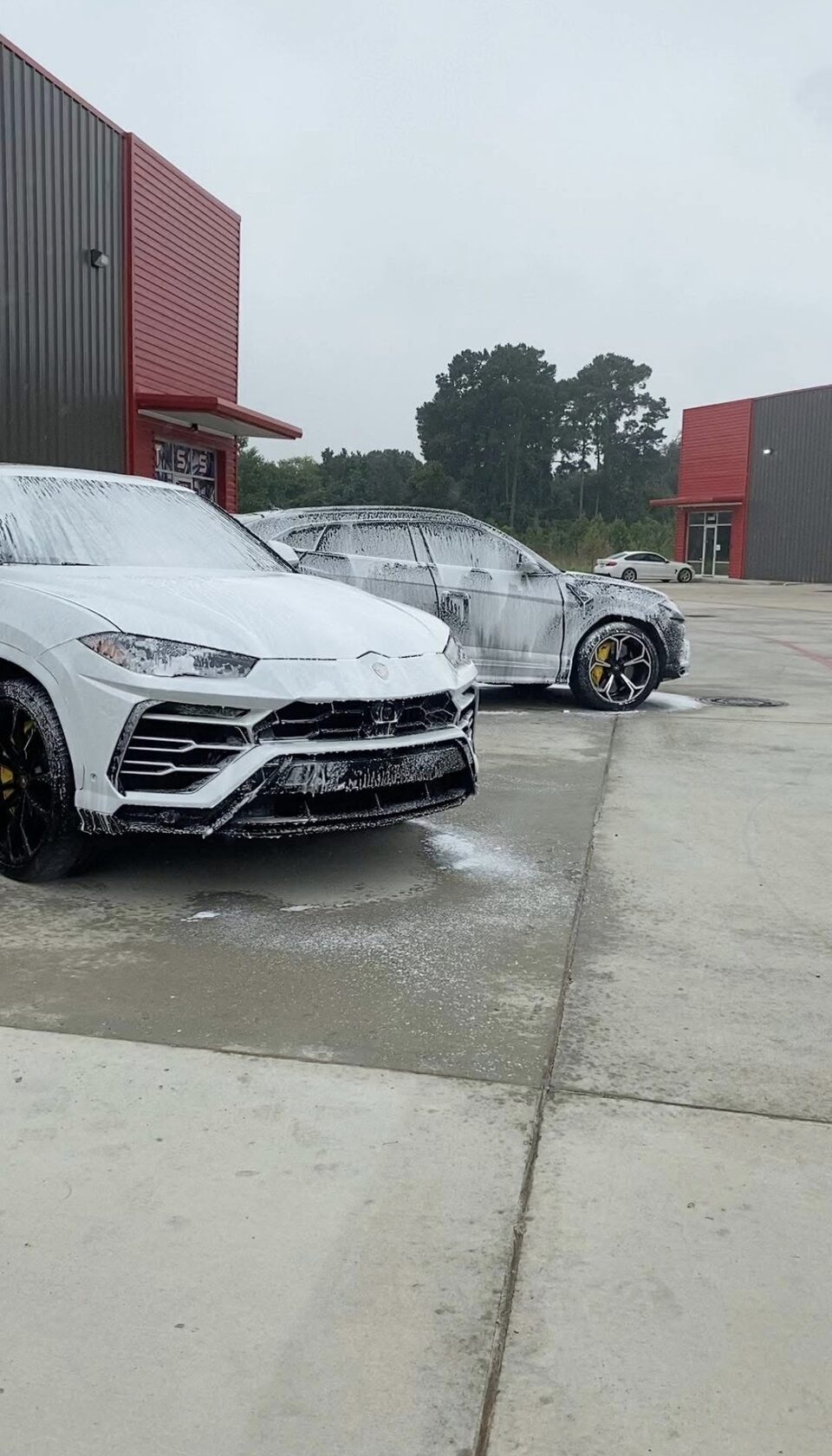 Lamborghini Urus washed on site